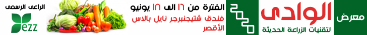 الوادى جديد